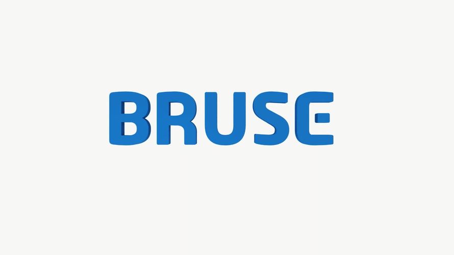 Bruse GmbH & Co. KG